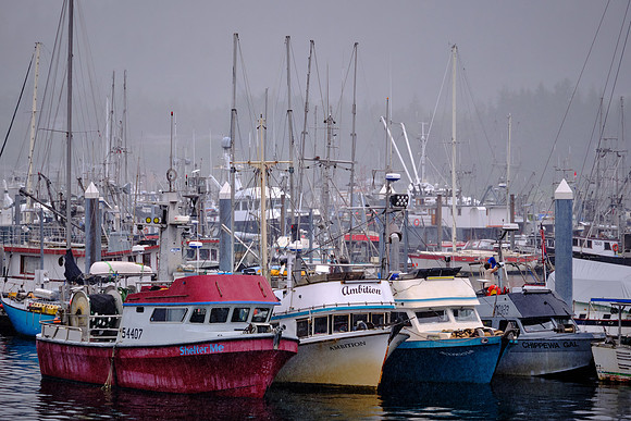 Sitka has a thriving fishing industry for salmon, halibut, lingcod, sablefish, and rockfish.