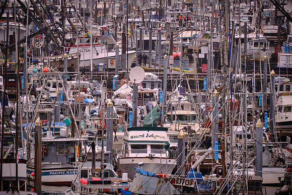 Sitka has the largest commercial fishing fleet in Southeast Alaska with over 670 registered fishing vessels.