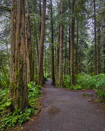 The park was first established as a federal public park in 1890 and later a national monument in 1910.