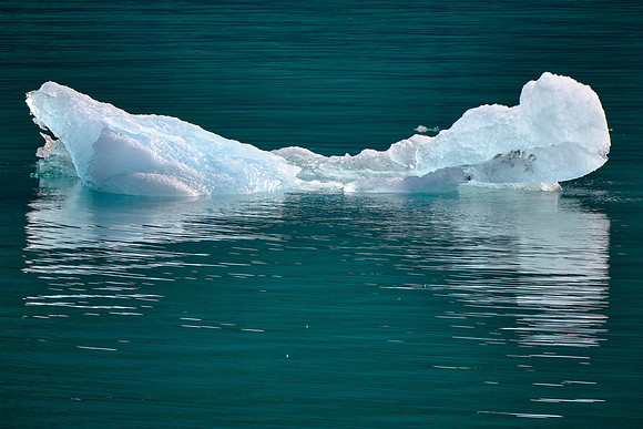 Deep into the arm, the water is littered with floating icebergs that have calved off Dawes Glacier.