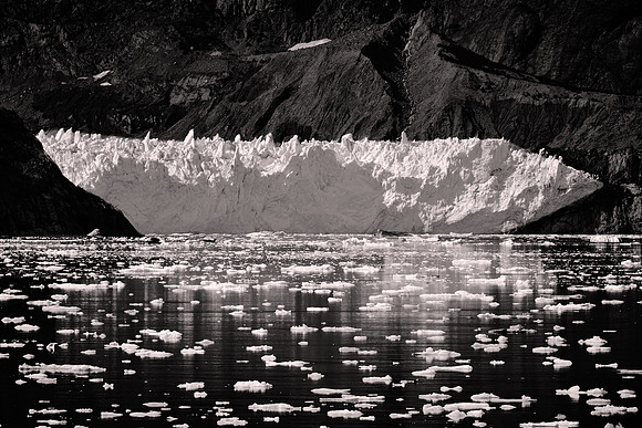 2026 August, Southeast Alaska, Glacier Bay National Park