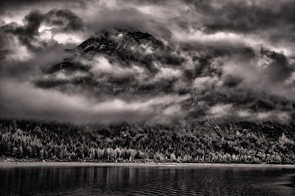 2026 August, Southeast Alaska, near Glacier Bay National Park