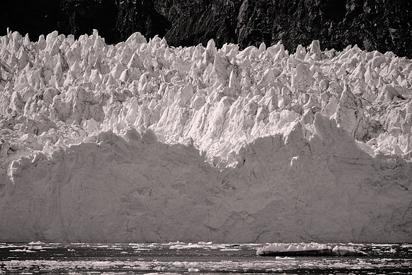2026 August, Southeast Alaska, Glacier Bay National Park