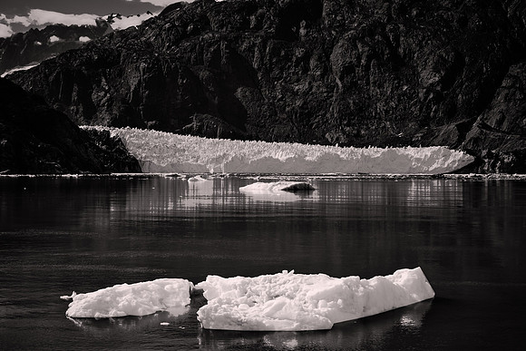 2026 August, Southeast Alaska, Glacier Bay National Park