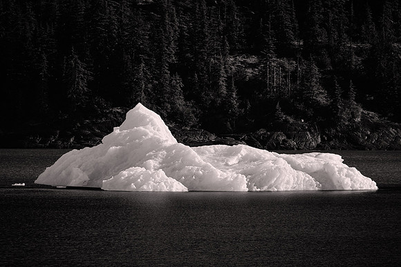 2026 August, Southeast Alaska, Endicott Arm, Dawes Glacier