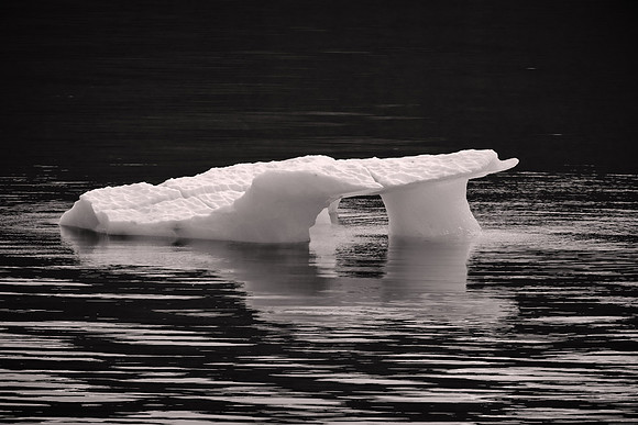 2026 August, Southeast Alaska, Endicott Arm, Dawes Glacier