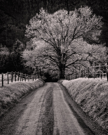 2012 November, Cades Cove, Great Smokey Mountain National Park, Tennessee