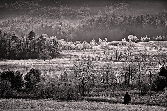 2012 November, Cades Cove, Great Smokey Mountain National Park, Tennessee