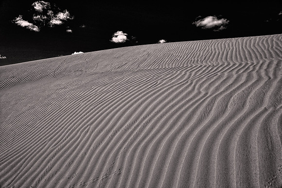 2013 September, Moltsog Els Sand Dunes, Gobi Desert, Outer Mongolia