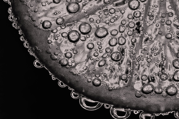 2013 December, lime bubbles, Davidson, North Carolina