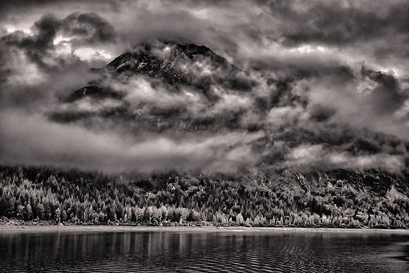 2026 August, Southeast Alaska, near Glacier Bay National Park
