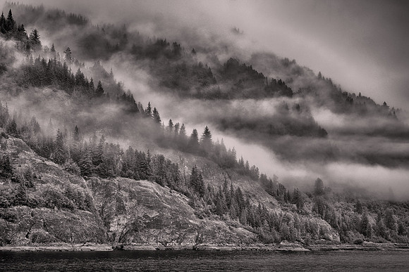 2026 August, Southeast Alaska, near Glacier Bay National Park