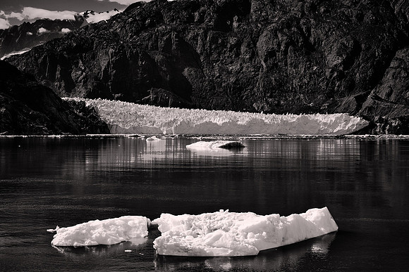 2026 August, Southeast Alaska, Glacier Bay National Park