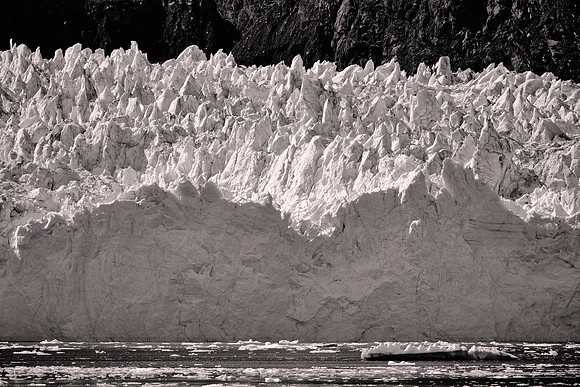 2026 August, Southeast Alaska, Glacier Bay National Park