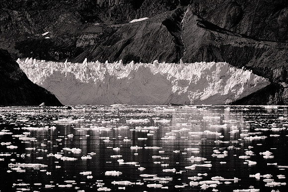 2026 August, Southeast Alaska, Glacier Bay National Park