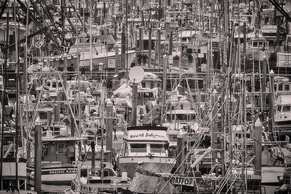 2026 August, Southeast Alaska, a few fishing boats, Sitka