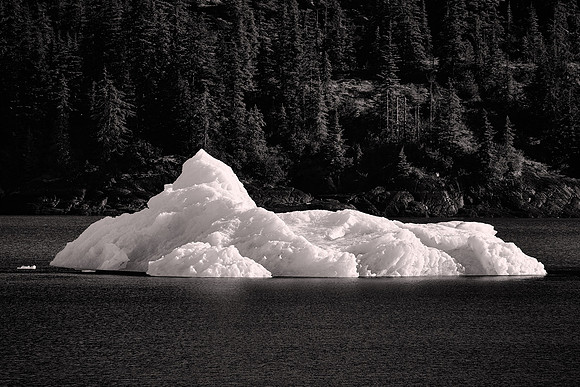 2026 August, Southeast Alaska, Endicott Arm, Dawes Glacier