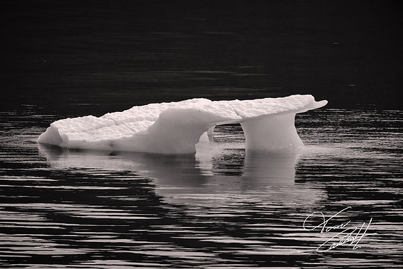 2026 August, Southeast Alaska, Endicott Arm, Dawes Glacier