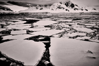 2025 Oct - Antarctica Revisited