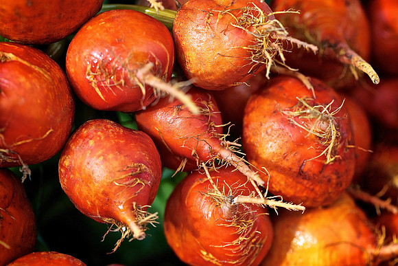 Davidson Farmers Market