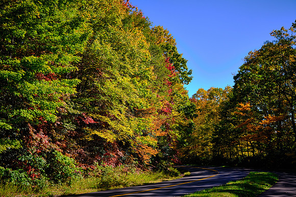 Mile Post 302, Carolina in the Fall
