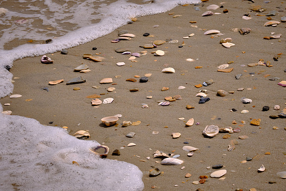 The beach at Cape Hatteras Natonal Seashore, Hatteras Island, NC