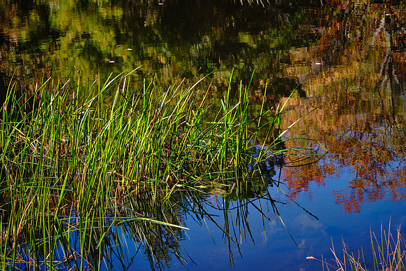 Mile Post 230, Little Glad Millpond