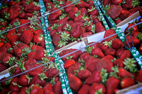 Davidson Farmers Market