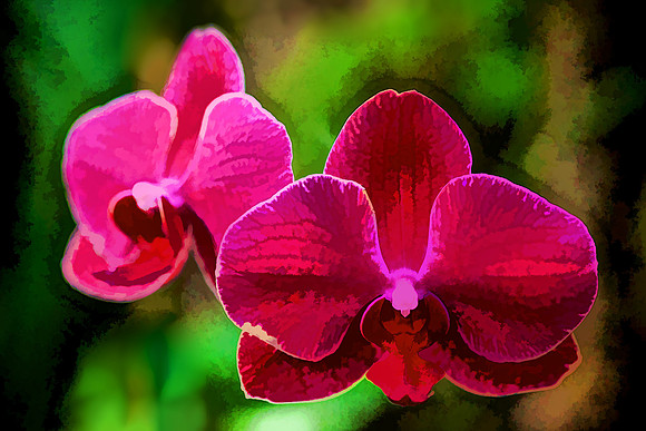 UNC Charlotte Botanical Garden