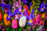 2023 May - Mystical Flowers