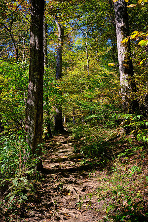 Mile Post 308, Flat Rock Trail