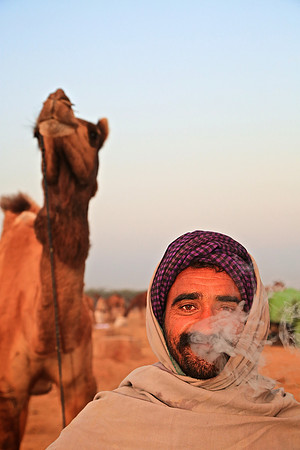 Nagaur Camel and Livestock Fair, Nagaur, Rajasthan