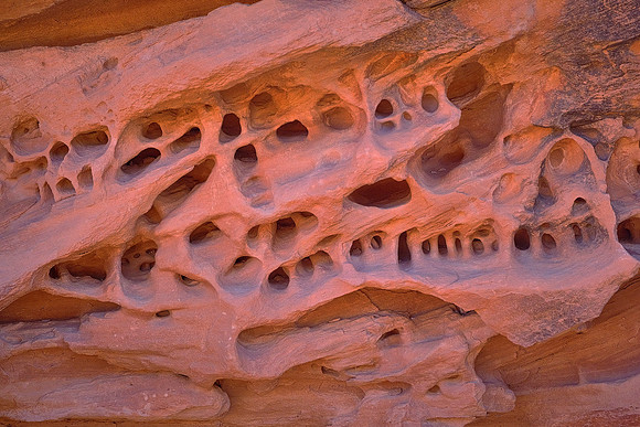 Capitol Reef National Park, UT.  Around Panorama Point, Sunset Point, and the Goosenecks.