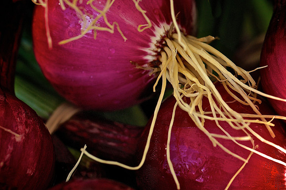 Davidson Farmers Market