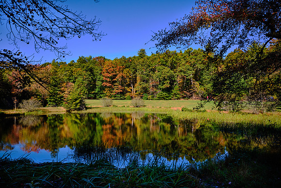 Mile Post 230, Little Glad Millpond