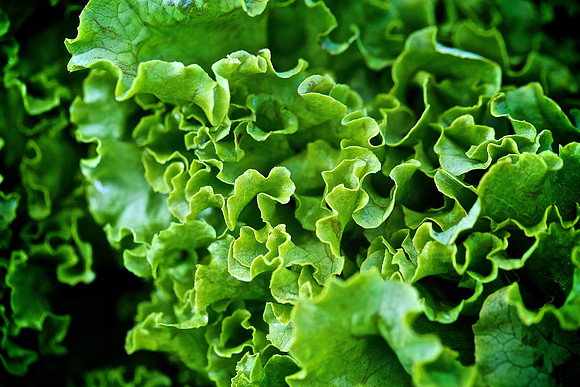 Davidson Farmers Market