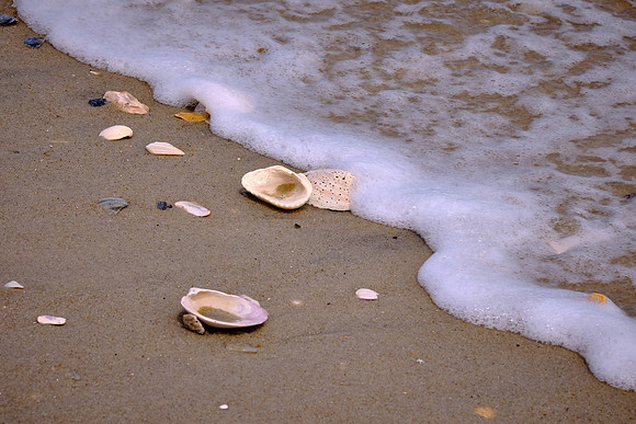 The beach at Cape Hatteras Natonal Seashore, Hatteras Island, NC