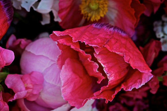 Herr Fresh Flowers