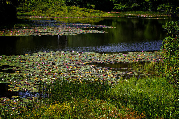 Nature Center, Highlands, NC