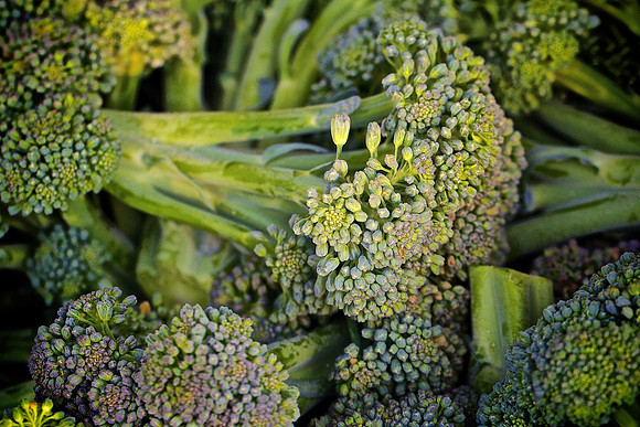 Davidson Farmers Market