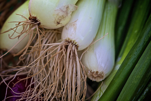 Davidson Farmers Market