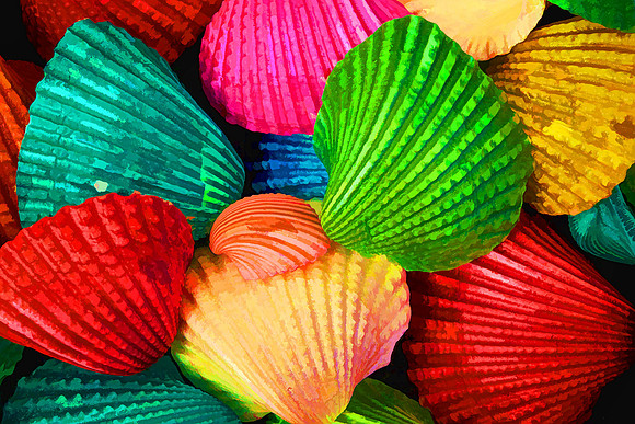 Macro Photography