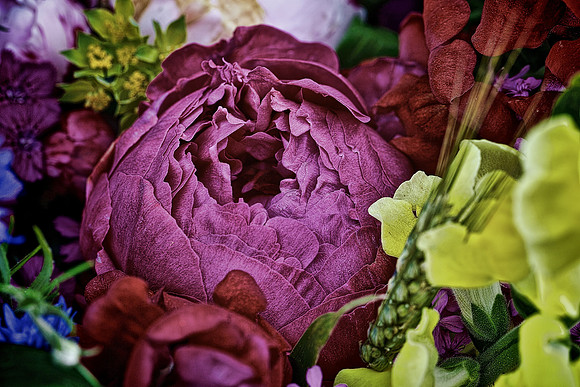 Herr Fresh Flowers