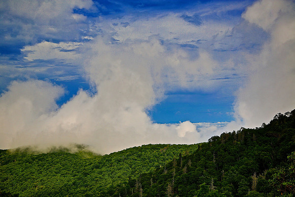 The Blue Ridge Parkway