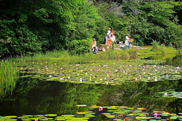 Nature Center, Highlands, NC