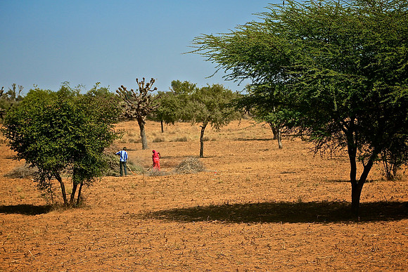 On the road to Nagaur, India