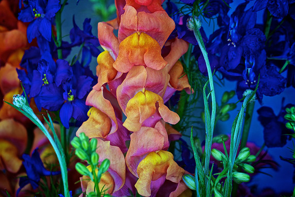 Herr Fresh Flowers