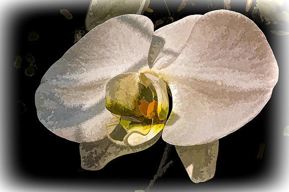 UNC Charlotte Botanical Garden