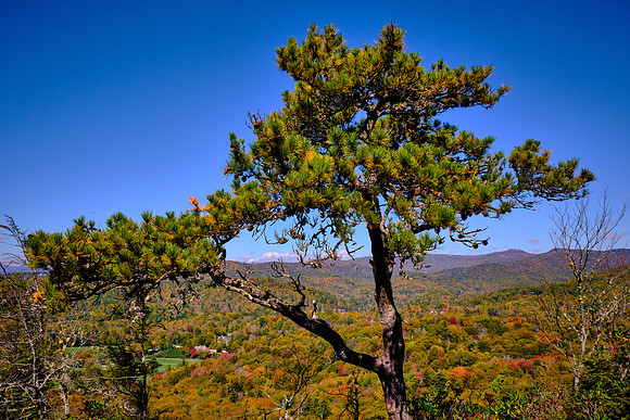 Mile Post 308, Flat Rock Trail