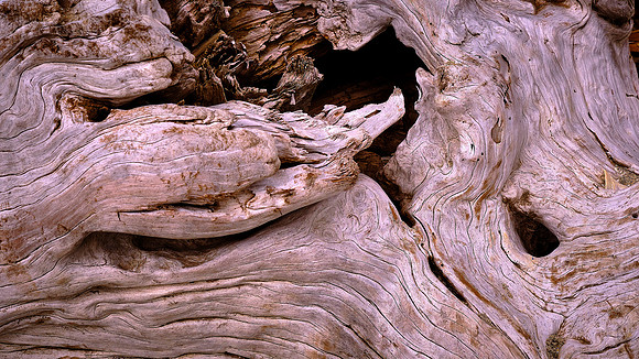 Botany Bay, Edisto Island, SC